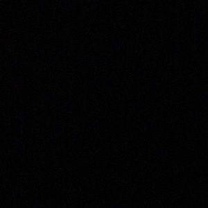 Meet your Posher, Walt